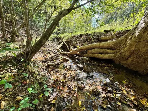 Other - 00 One Mile Rd, Traphill, NC 28635 photo 3 of 16
