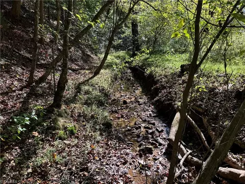 Other - 00 One Mile Rd, Traphill, NC 28635 photo 11 of 16