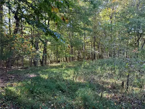 Exterior - 00 One Mile Rd, Traphill, NC 28635 photo 3 of 8