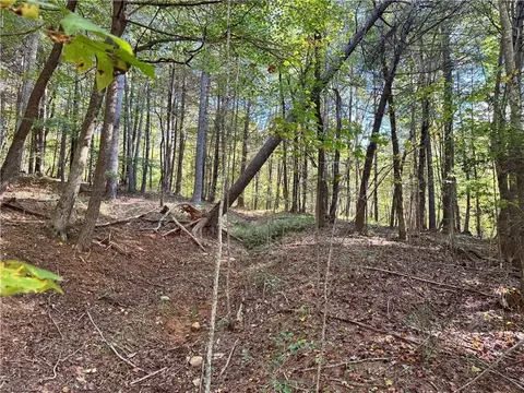Exterior - 00 One Mile Rd, Traphill, NC 28635 photo 6 of 8