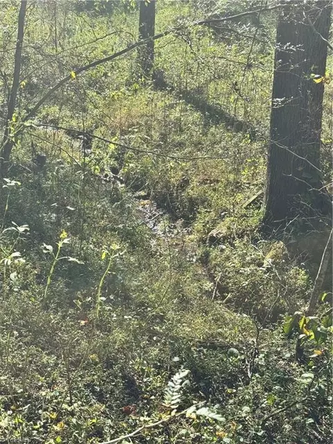 Other - 00 One Mile Rd, Traphill, NC 28635 photo 10 of 16