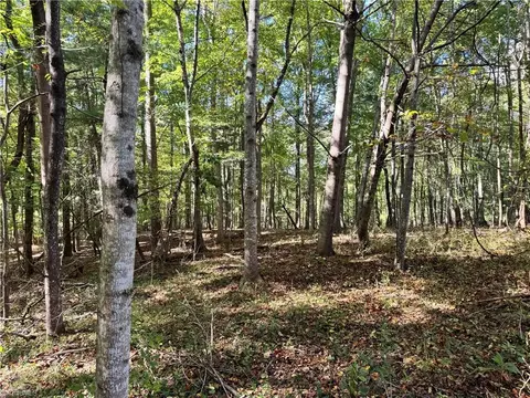 Other - 00 One Mile Rd, Traphill, NC 28635 photo 6 of 16
