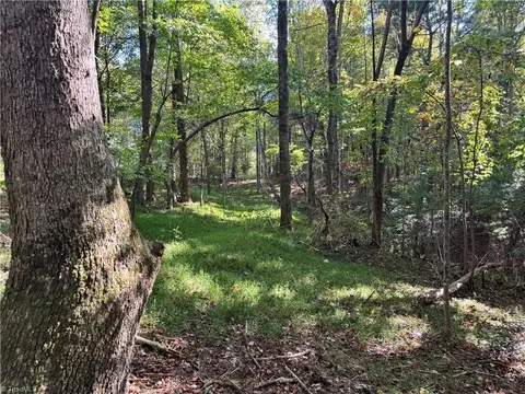 Other - 00 One Mile Rd, Traphill, NC 28635 photo 13 of 16