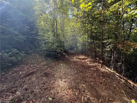 Exterior - tbd Casey Mountain Rd, Purlear, NC 28665 photo 3 of 7