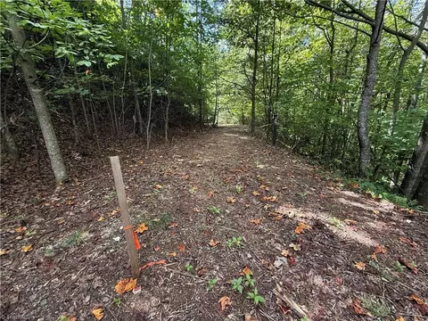 Other - tbd Casey Mountain Rd, Purlear, NC 28665 photo 4 of 10