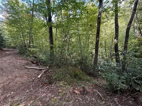 Exterior - tbd Casey Mountain Rd, Purlear, NC 28665 photo 5 of 7