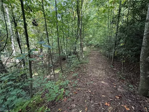 Other - tbd Casey Mountain Rd, Purlear, NC 28665 photo 7 of 10