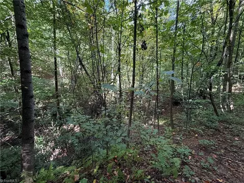 Other - tbd Casey Mountain Rd, Purlear, NC 28665 photo 8 of 10