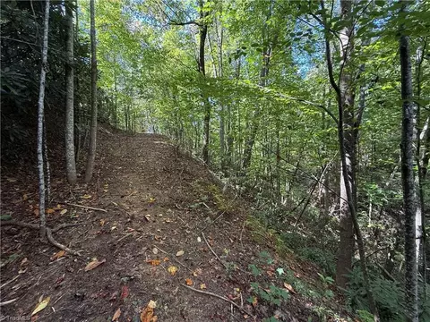 Other - tbd Casey Mountain Rd, Purlear, NC 28665 photo 9 of 10