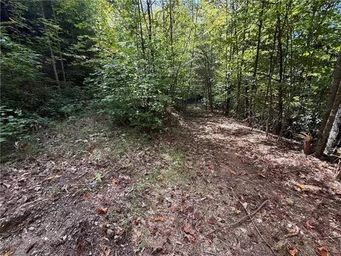 Exterior - tbd Casey Mountain Rd, Purlear, NC 28665 photo 4 of 7