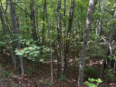 Exterior - tbd Casey Mountain Rd, Purlear, NC 28665 photo 1 of 7