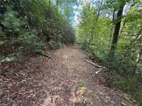 Other - tbd Casey Mountain Rd, Purlear, NC 28665 photo 6 of 10