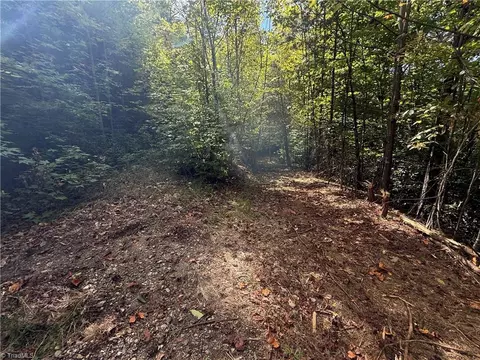 Other - tbd Casey Mountain Rd, Purlear, NC 28665 photo 5 of 10