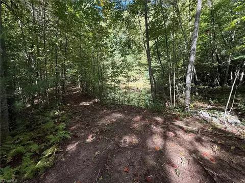 Other - tbd Casey Mountain Rd, Purlear, NC 28665 photo 3 of 10