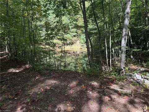 View/Area - tbd Casey Mountain Rd, Purlear, NC 28665 photo 3 of 4