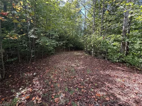 Exterior - tbd Casey Mountain Rd, Purlear, NC 28665 photo 2 of 7