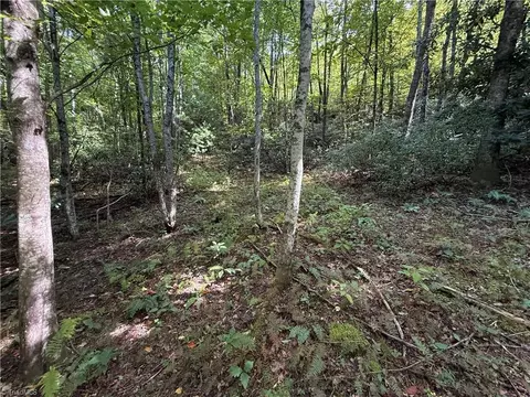 Exterior - tbd Casey Mountain Rd, Purlear, NC 28665 photo 7 of 7