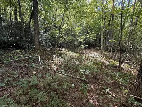 Other - tbd Casey Mountain Rd, Purlear, NC 28665 photo 10 of 10