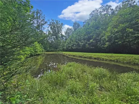 View/Area - 13641 Traphill Rd, Traphill, NC 28685 photo 1 of 1