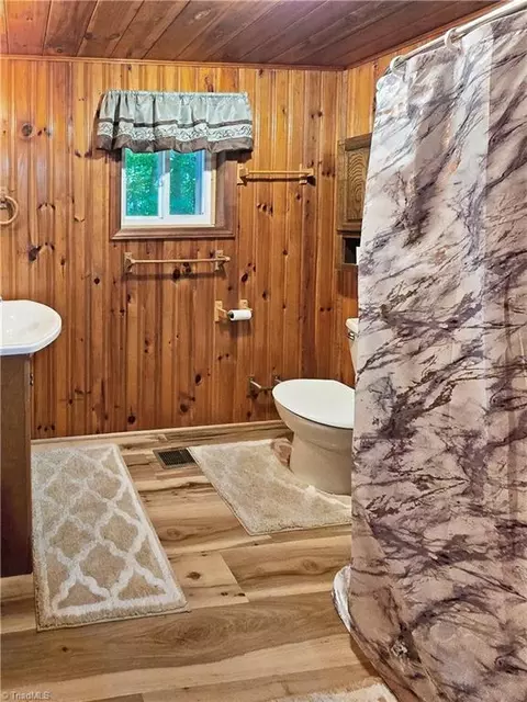 Bath - 13641 Traphill Rd, Traphill, NC 28685 photo 5 of 5