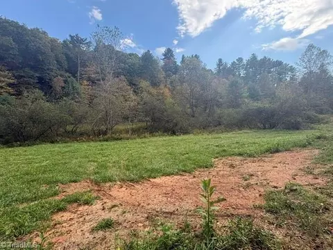 Other - tbd Caseys Branch Rd, Purlear, NC 28665 photo 9 of 10
