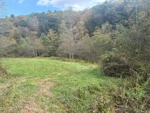 Other - tbd Caseys Branch Rd, Purlear, NC 28665 photo 6 of 10