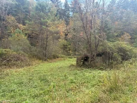 Other - tbd Caseys Branch Rd, Purlear, NC 28665 photo 5 of 10