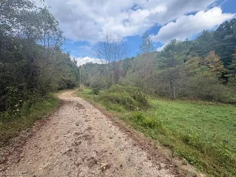 Other - tbd Caseys Branch Rd, Purlear, NC 28665 photo 2 of 10