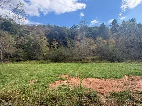 Other - tbd Caseys Branch Rd, Purlear, NC 28665 photo 8 of 10