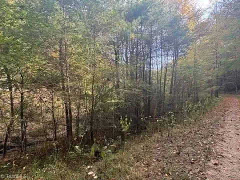 Other - tbd Caseys Branch Rd, Purlear, NC 28665 photo 10 of 10