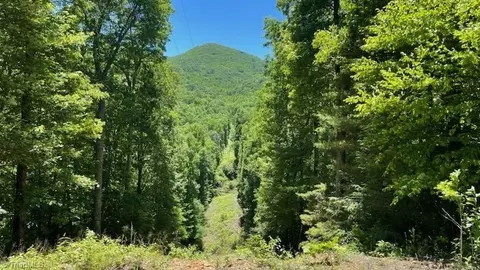 1629 White Rock Rd, Cullowhee, NC 28723