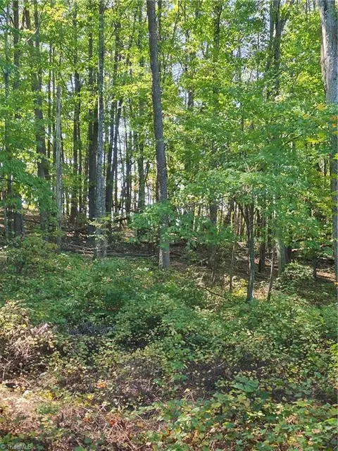 1225 Perch Rd, Pinnacle, NC 27043 photo 3