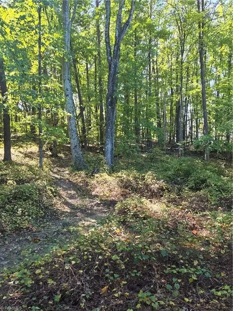 1225 Perch Rd, Pinnacle, NC 27043 photo 2