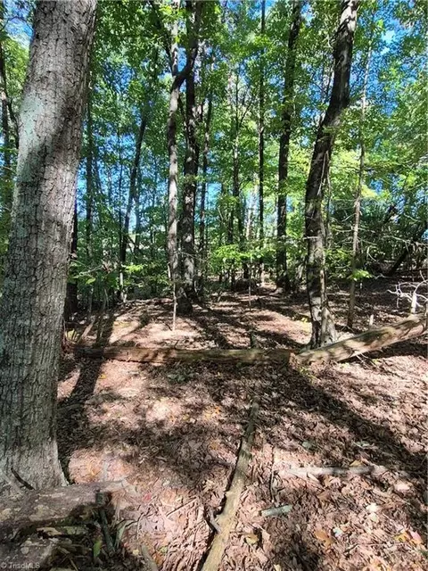 1225 Perch Rd, Pinnacle, NC 27043 photo 6