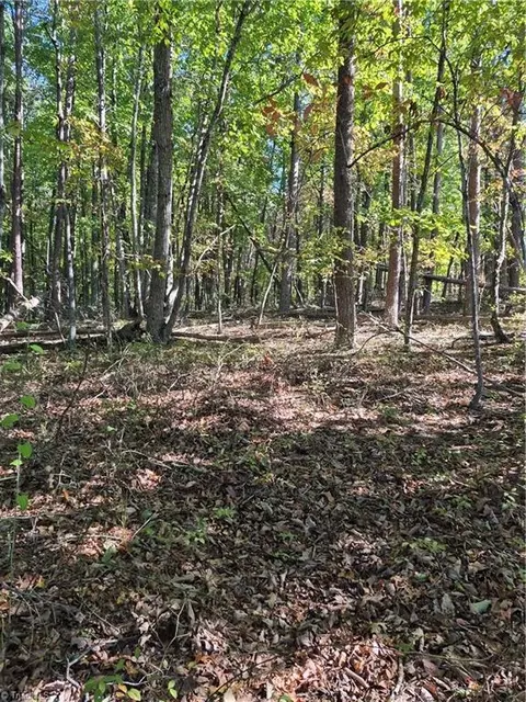 1225 Perch Rd, Pinnacle, NC 27043 photo 8