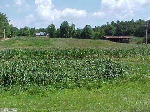 470 Old Ml, Lowgap, NC 27024 photo 13
