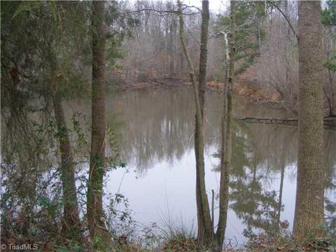 2944 Bumpas Rd, Staley, NC 27355 photo 4