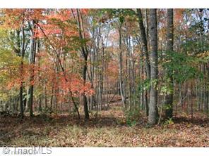 175 Scenic Dr, Stuart, VA 24171 photo 4