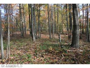 175 Scenic Dr, Stuart, VA 24171 photo 5