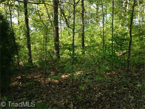 106 Rima Lndg, Denton, NC 27239 photo 4