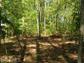 106 Rima Lndg, Denton, NC 27239 photo 5