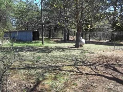 971 S Main St, Dobson, NC 27017 photo 3