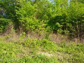 2012 Scott Rd, Browns Summit, NC 27214 photo 1