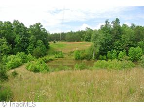 1330 Marshall Ridge Rd, Pinnacle, NC 27043 photo 2
