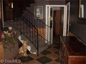 311 Ether Rd, Star, NC 27356 photo 14