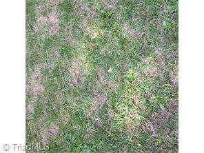 3821 Meadowbrook Dr, Trinity, NC 27370 photo 1