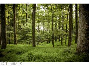 47 Ridge Rd, Roaring Gap, NC 28668 photo 5