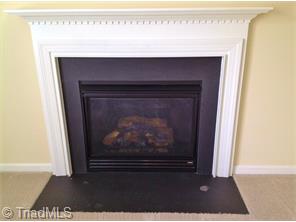 3727 Single Leaf Cir, High Point, NC 27265 photo 10