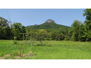 1271 Pinnacle Hotel Rd, Pinnacle, NC 27043 photo 2