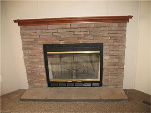 1603 Huffman Fork Rd, Purlear, NC 28665 photo 7